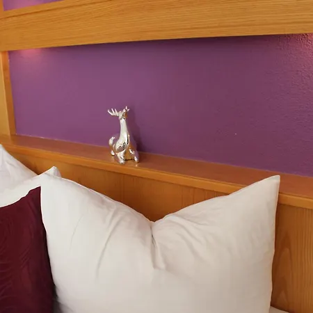 Haus Astoria 장크트 리온하드 임 피츠탈